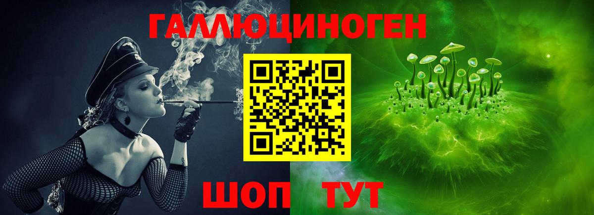 Гатчина  Псилоцибиновые грибы прущие грибы  Вход с VPN 