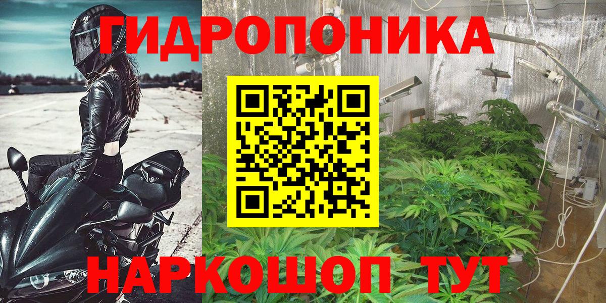 Бошки марихуана гибрид  Вход с VPN  Бошки Шишки семена  МАРИХУАНА MAZAR  Бошки марихуана LSD WEED  Гатчина 